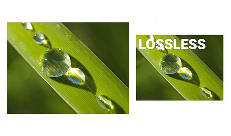 فشرده سازی تصویر بدون اتلاف Lossless