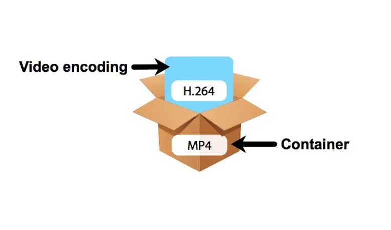 کدک و فرمت فیلم